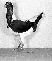 1957-ben